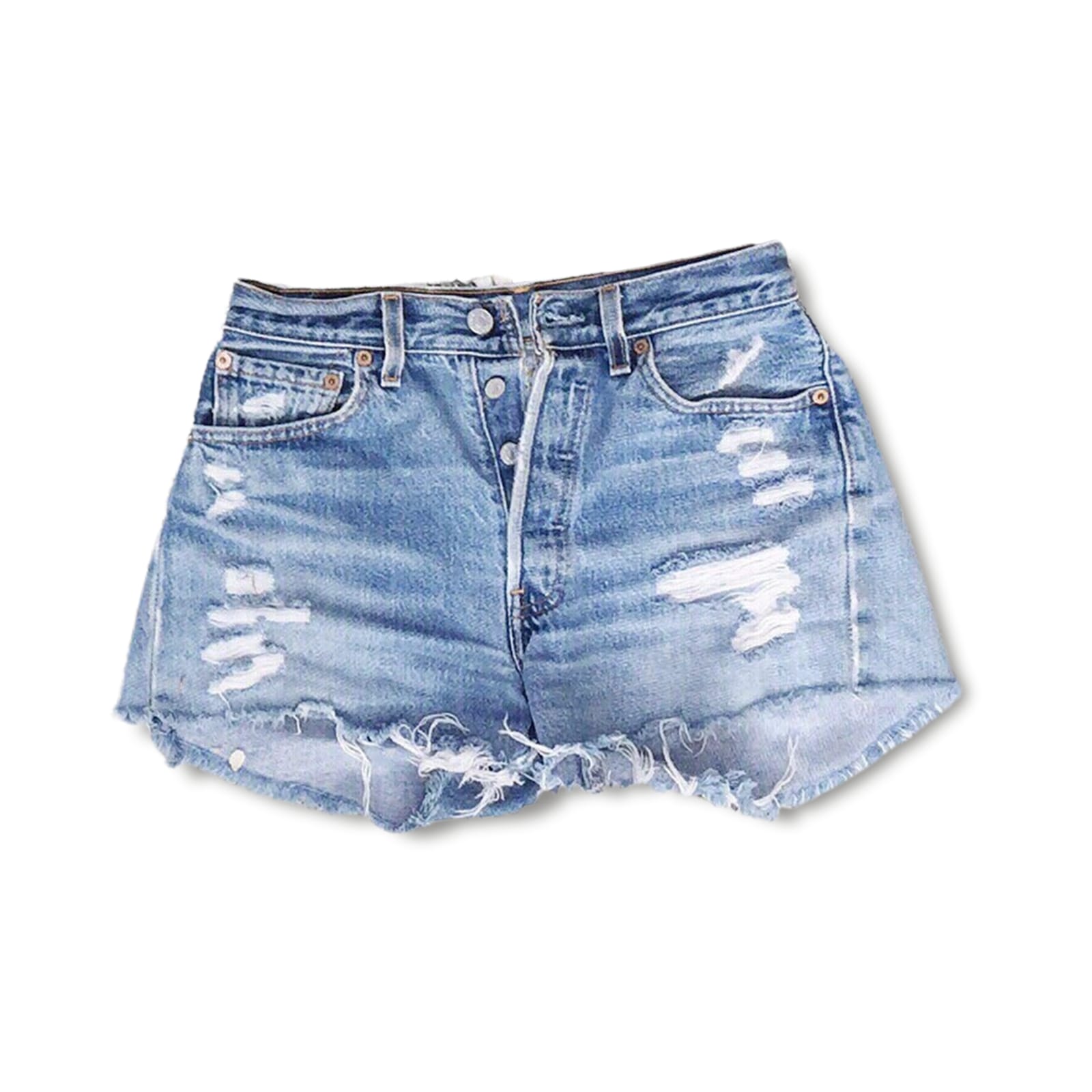 Polo / T-Shirt (plié)